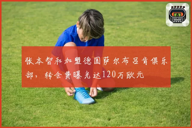 张本智和加盟德国萨尔布吕肯俱乐部，转会费曝光达120万欧元