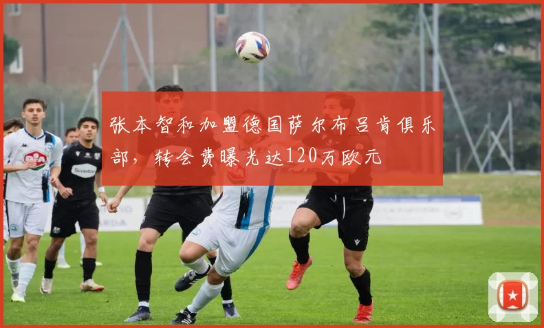 张本智和加盟德国萨尔布吕肯俱乐部，转会费曝光达120万欧元