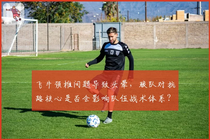 飞牛颈椎问题导致头晕，狼队对抗路核心是否会影响队伍战术体系？