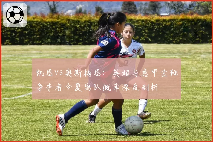 凯恩vs奥斯梅恩：英超与意甲金靴争夺者今夏离队概率深度剖析